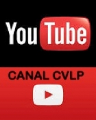 CANAL YOUTUBE - Club Volei La Palma
