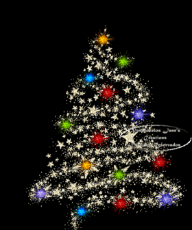BONES FESTES !!!!! - Club Volei La Palma