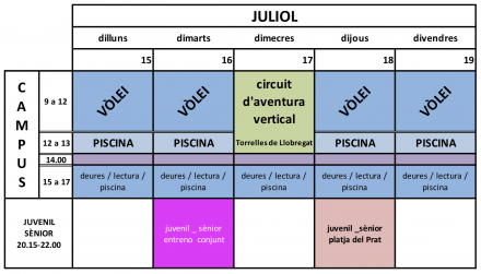 ACTIVITATS JULIOL CAMPUS INFANTIL/ CADET I ENTRENAMENTS JUVENIL / SÈNIOR - Club Volei La Palma