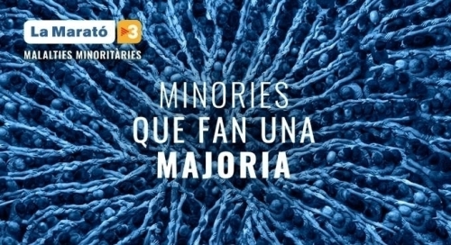 #LaMaratóTV3  - MALALTIES MINORITÀRIES - Club Volei La Palma