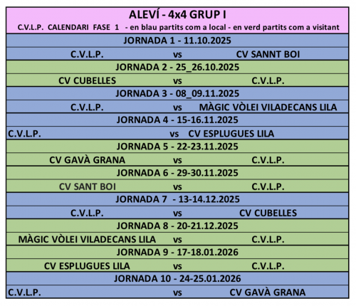 ALEVÍ - Club Volei La Palma