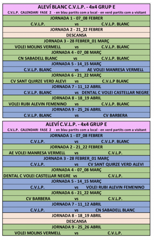 ALEVÍ - Club Volei La Palma